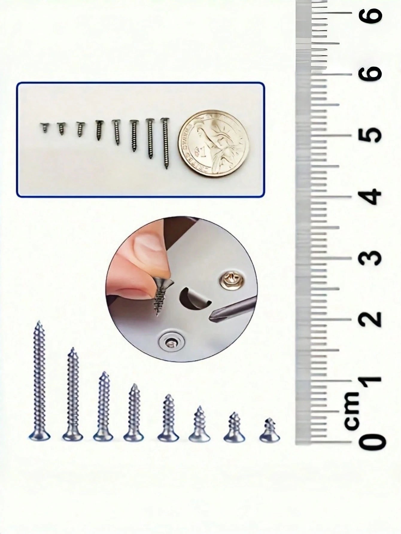 560Pcs Box Self Tapping Wood Screw Set 8 Different Sizes M2 Metal Screw Classification Kit With Storage Box For Woodworking Furniture Repair DIY Home Improvement