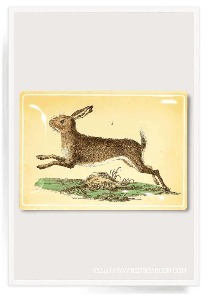 Benjamin Bunny Decoupage Glass Tray - Ben's Garden