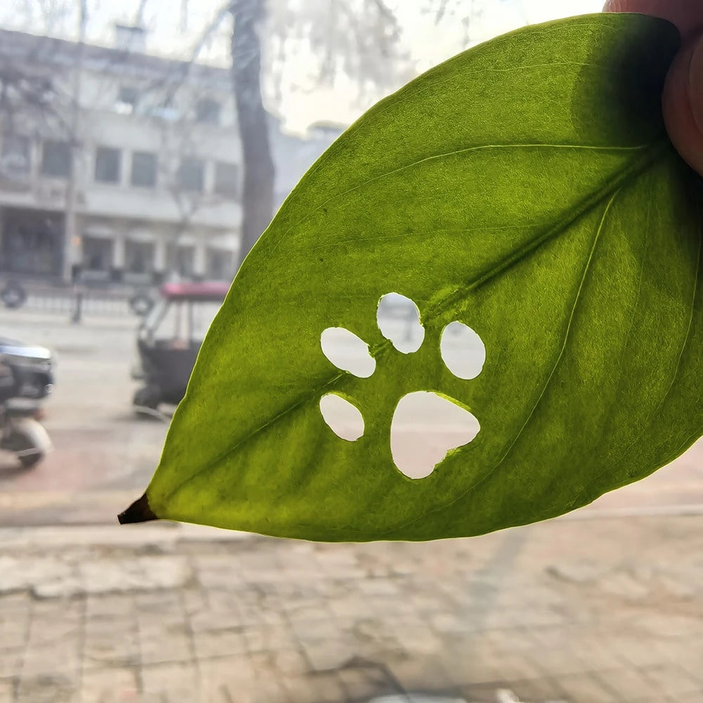 1PC/2PCS Creative Pet Paw Print Embossing Stamp| Unique Footprint Stamp Tool, Handmade Artwork, Suitable For Thin Paper And Leaves, Light Gray Plastic, Ideal Choice For Pet Memorial Gift Measurement