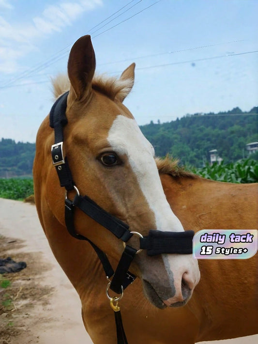1pc Soft Skin-Friendly & Wear-Resistant Webbing Horse Bridle – Gentle Non-Harm Equestrian Bridle For Horse Comfort, Horse Stable Equipment With Walking Leash, Lightweight All-Purpose Webbing Bridle Fo