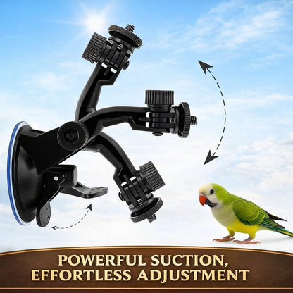 2 PCS Parrot Perch Stand, Movable Perch Stand Bird Training Set, Wood Parrot Perch Stand With Strong Suction Cup For Cockatoo, Macaw, Parakeet, Window Mirror Car Shower Ceramic Tiles Bath