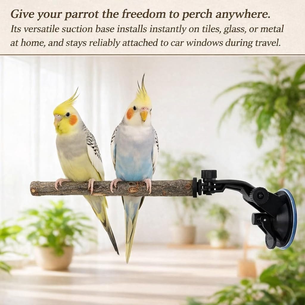 2 PCS Parrot Perch Stand, Movable Perch Stand Bird Training Set, Wood Parrot Perch Stand With Strong Suction Cup For Cockatoo, Macaw, Parakeet, Window Mirror Car Shower Ceramic Tiles Bath