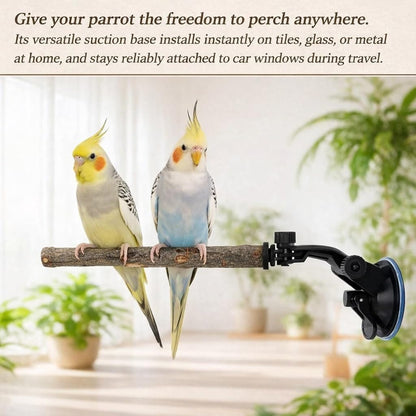 2 PCS Parrot Perch Stand, Movable Perch Stand Bird Training Set, Wood Parrot Perch Stand With Strong Suction Cup For Cockatoo, Macaw, Parakeet, Window Mirror Car Shower Ceramic Tiles Bath