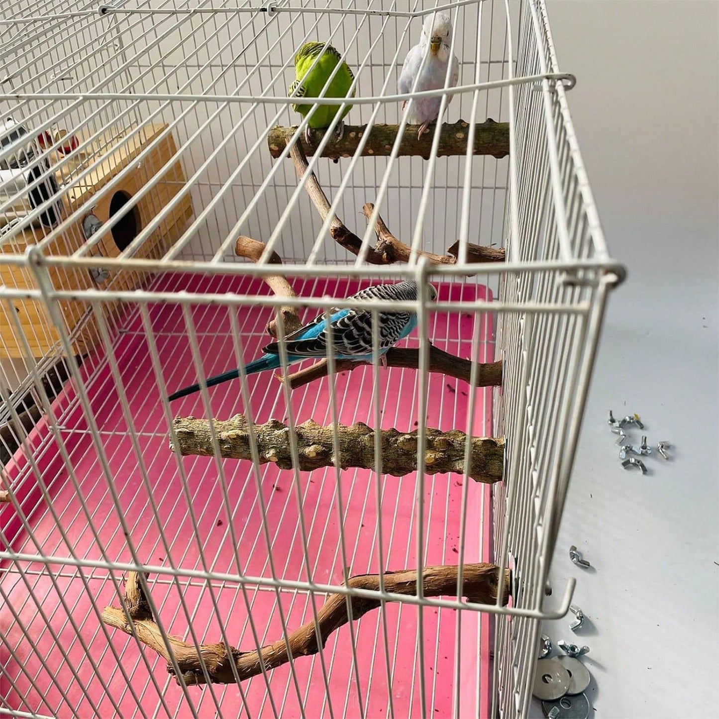 5PCS Natural Wood Parrot Stand, Small Bird Perch Branch For Cage Accessories, Chewing Toy For Parakeets Conures