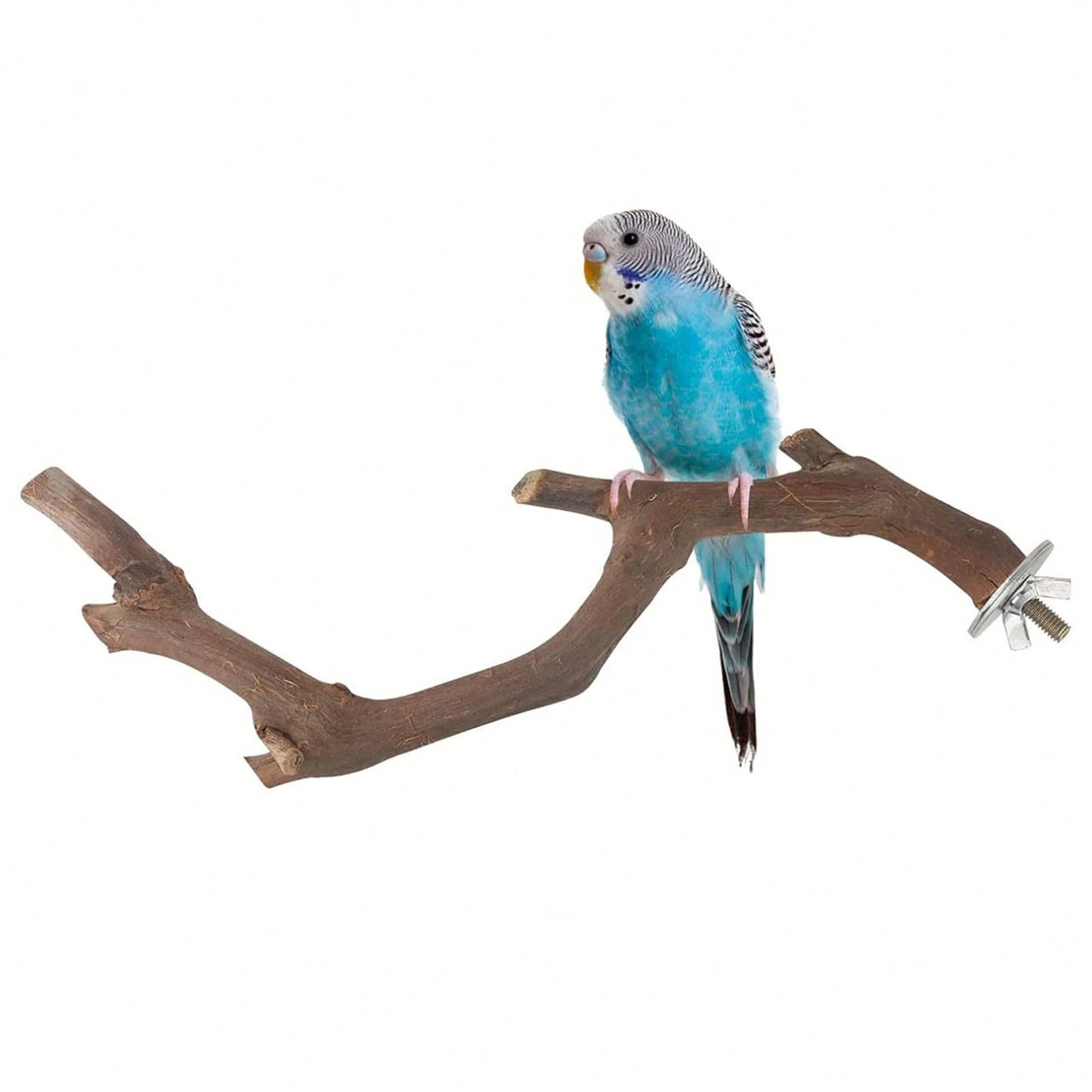 5PCS Natural Wood Parrot Stand, Small Bird Perch Branch For Cage Accessories, Chewing Toy For Parakeets Conures