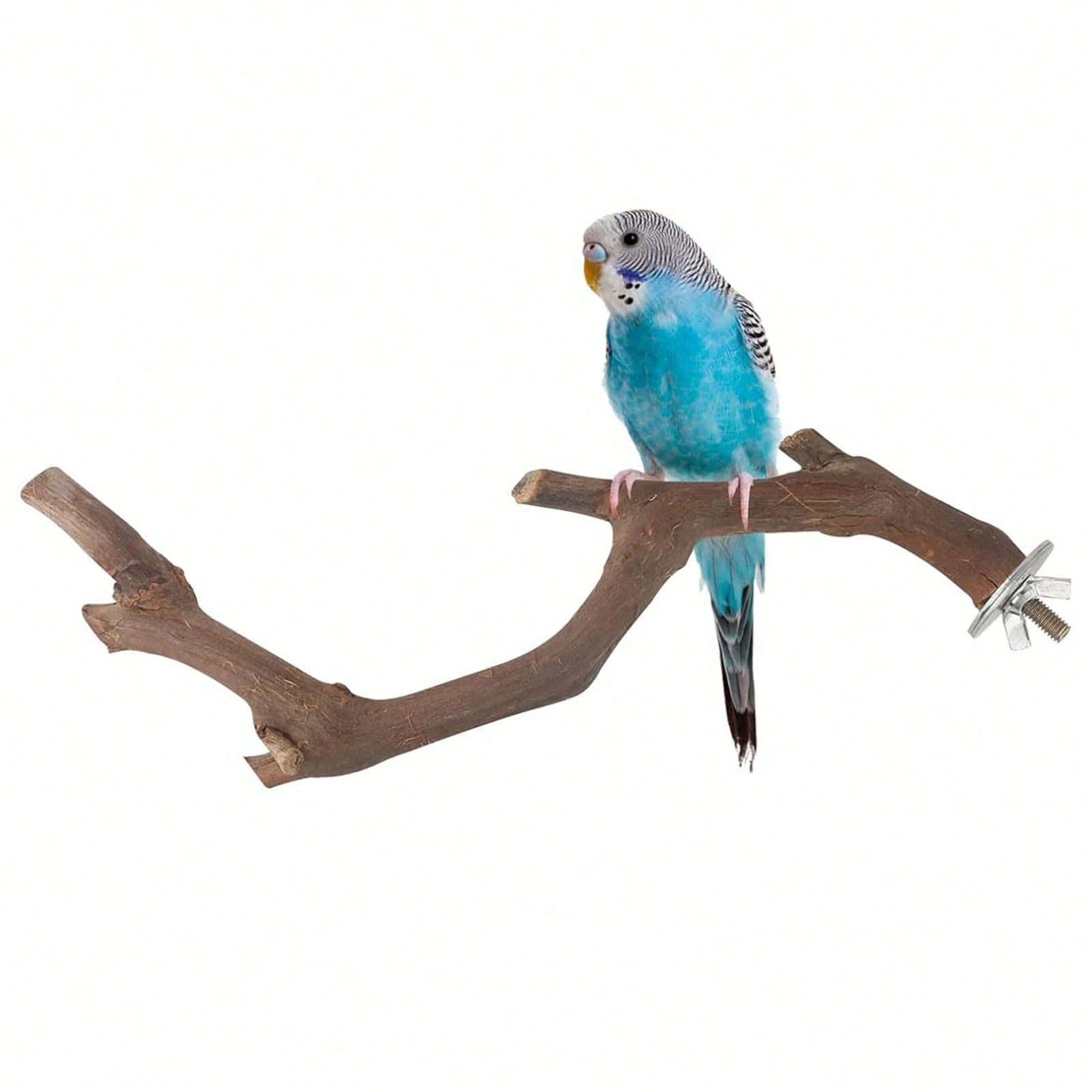 5PCS Natural Wood Parrot Stand, Small Bird Perch Branch For Cage Accessories, Chewing Toy For Parakeets Conures