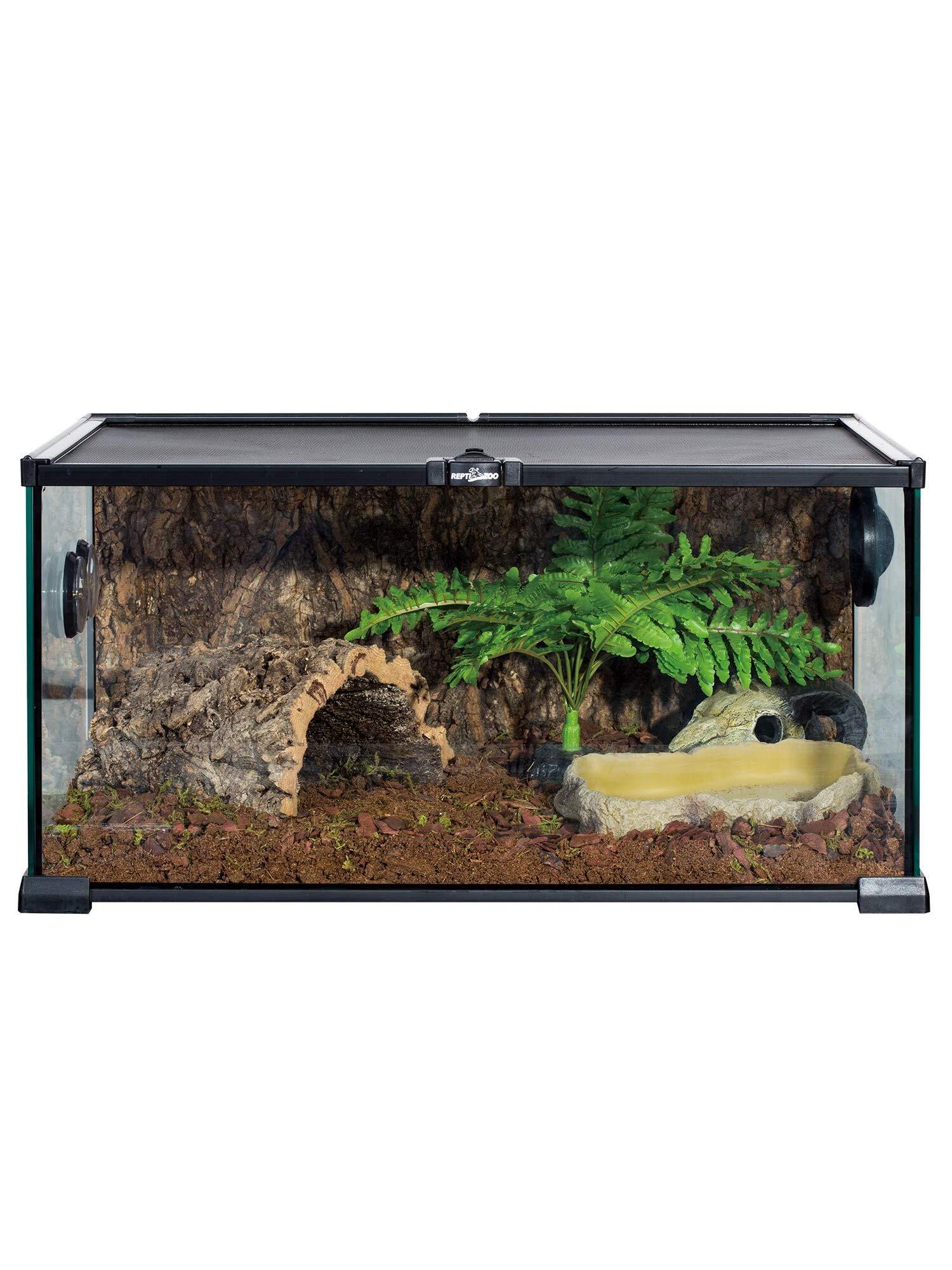 6.8" x 5" x 1.3" Reptile Food Dish Terrarium Water Bowl Food Feeding Bowl for Reptile Amphibian Pets Medium