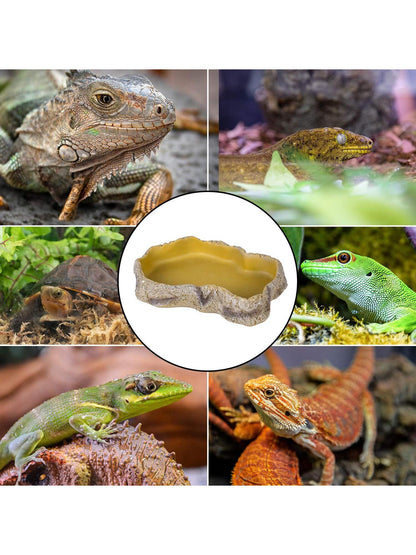 6.8" x 5" x 1.3" Reptile Food Dish Terrarium Water Bowl Food Feeding Bowl for Reptile Amphibian Pets Medium