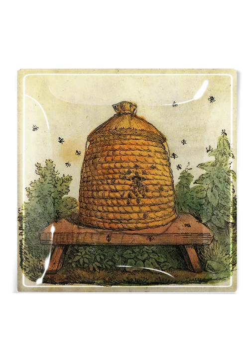 Beehive Etching Decoupage Glass Tray - Ben's Garden