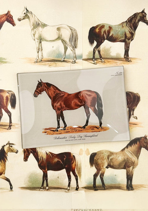 ‘Bellweather’ Derby Day Thoroughbred Decoupage Tray - Ben's Garden