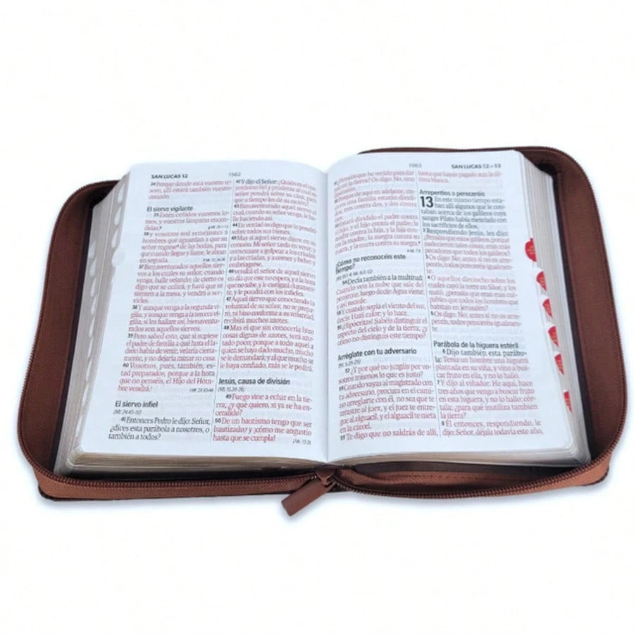 Biblia Con Cierre Portatil 12 Puntos RV1960, Imit Piel Cafe Ichtus Con Indice