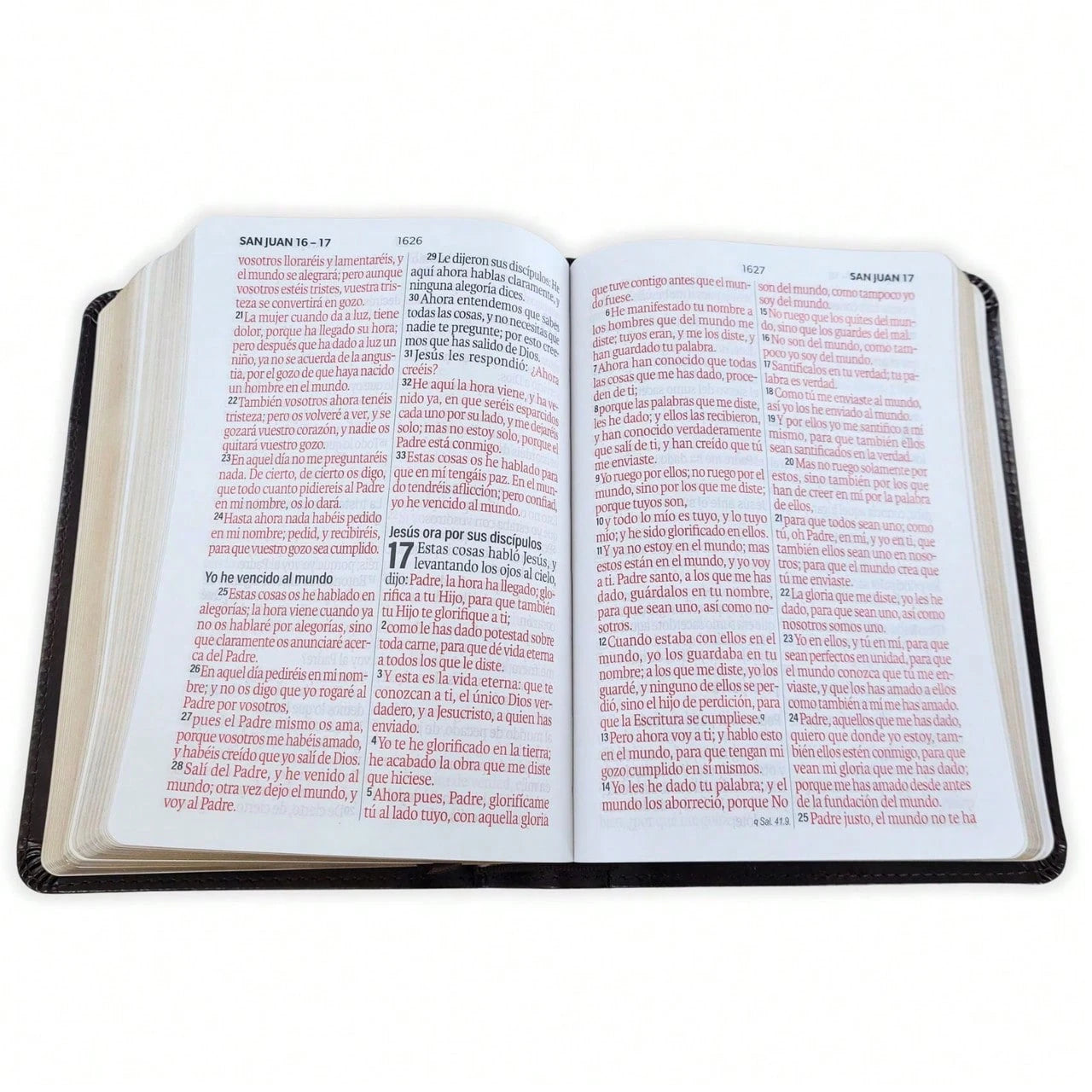 Biblia Portatil Letra Grande 12 Puntos RV1960, Imit Piel Cafe Oscuro Clasica