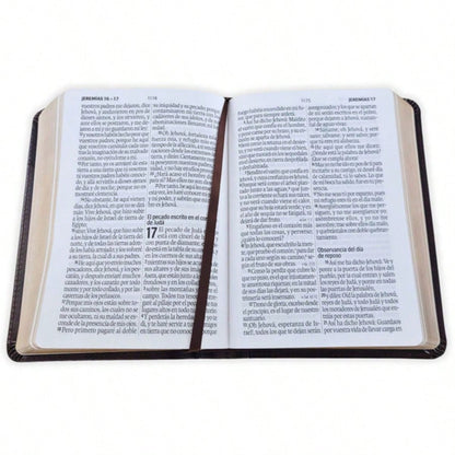 Biblia Portatil Letra Grande 12 Puntos RV1960, Imit Piel Cafe Oscuro Clasica