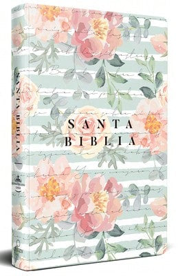 Biblia Reina Valera 1960 Letra Grande, Tapa Dura, Tamaño Manual Corazón (Rosada)/ Spanish Bible Rvr (Hardcover) By Reina Valera Revisada 1960