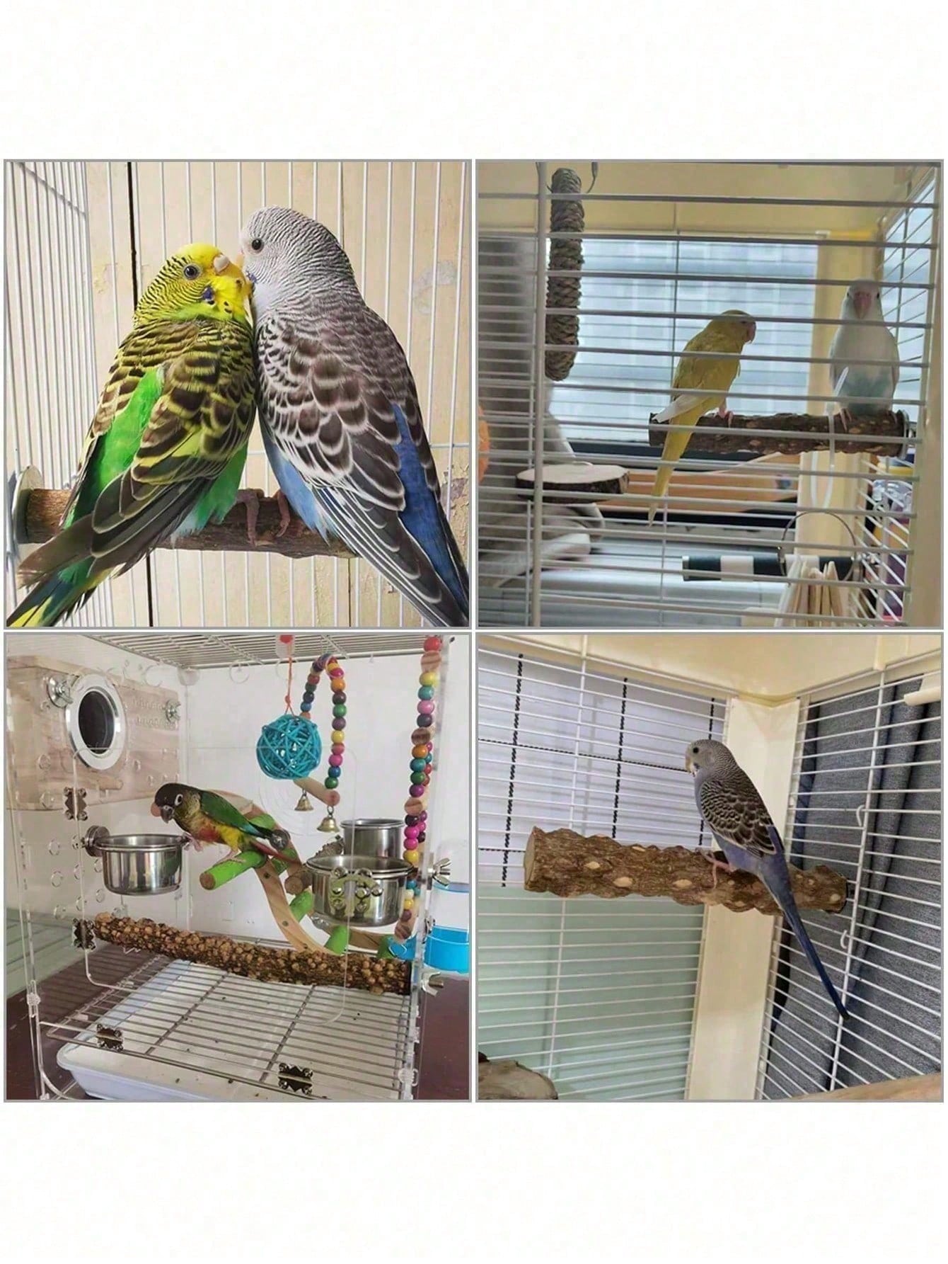 Bird Supplies Bird Cage Accessories Toys 5pcs Parrot Perch Set 3 Grapevine Perches 2 Stands Claw-Shaped Frosted Parrot Chewing Training Branch Suitable For Parrots, Medium And Small Birds Holiday Gift