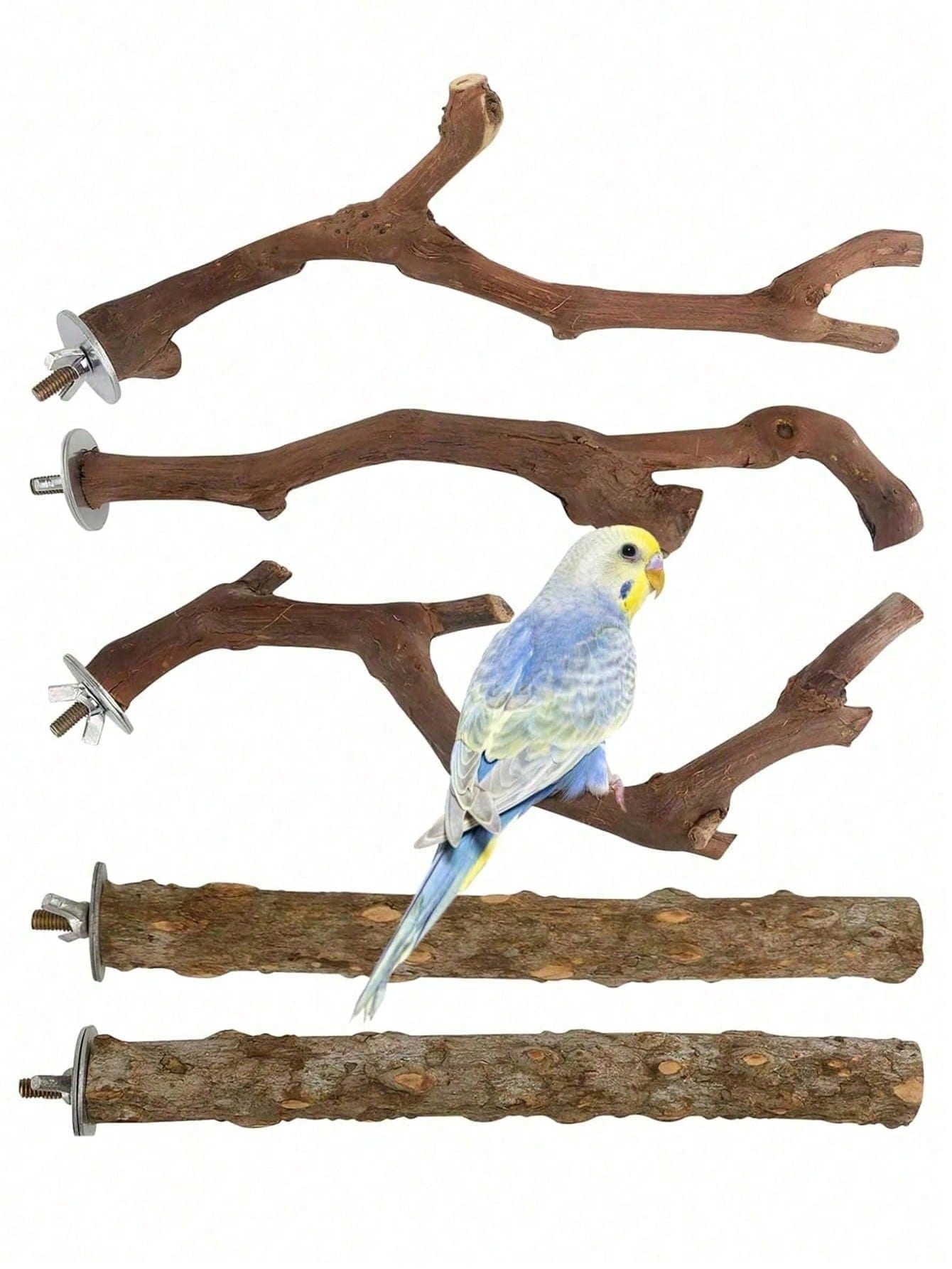 Bird Supplies Bird Cage Accessories Toys 5pcs Parrot Perch Set 3 Grapevine Perches 2 Stands Claw-Shaped Frosted Parrot Chewing Training Branch Suitable For Parrots, Medium And Small Birds Holiday Gift