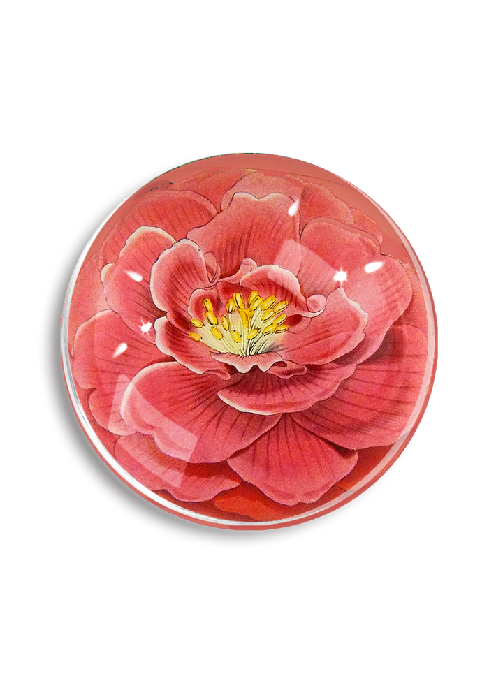 Blushing Camellia French Crystal Paperweight