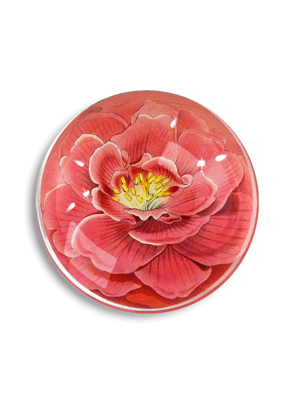 Blushing Camellia French Crystal Paperweight