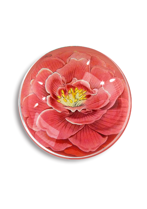 Blushing Camellia French Crystal Paperweight