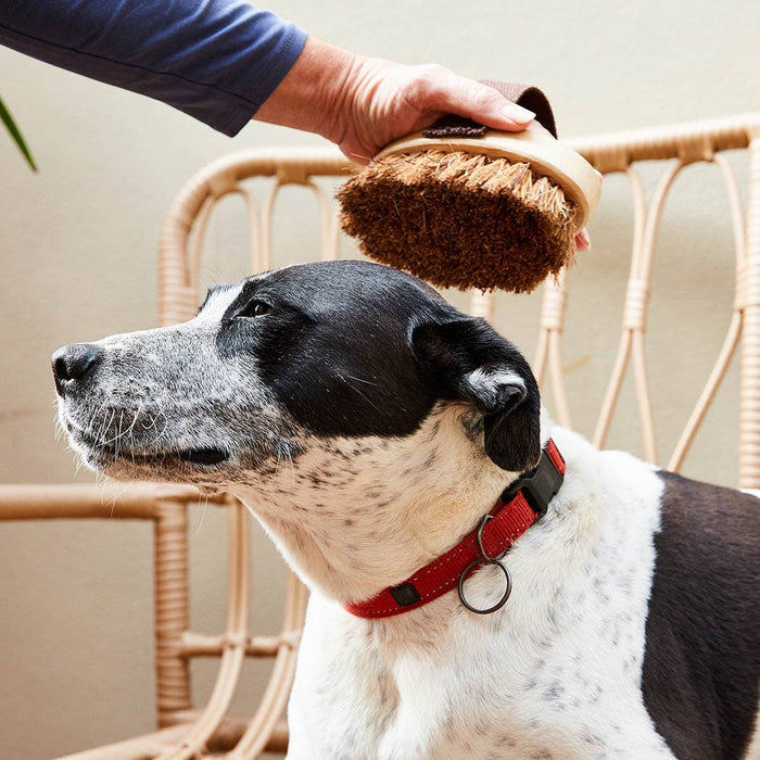 Dog/Pet Grooming Brush - All Natural, Handmade