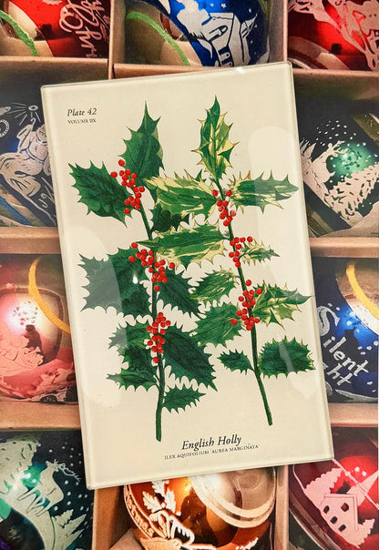 English Holly Stems Decoupage Glass Tray - Ben's Garden