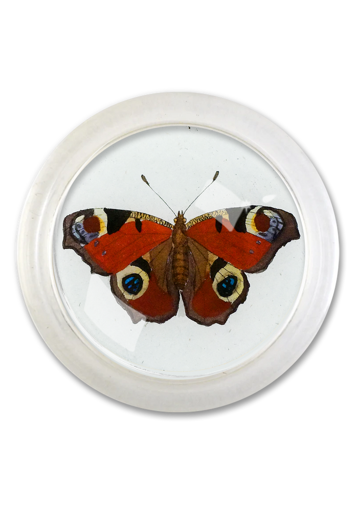 European Peacock Red Butterfly 4" Round Glass Coaster - Ben's Garden