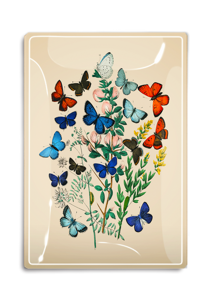 Garden Fluttering Butterflies Decoupage Glass Tray - Ben's Garden