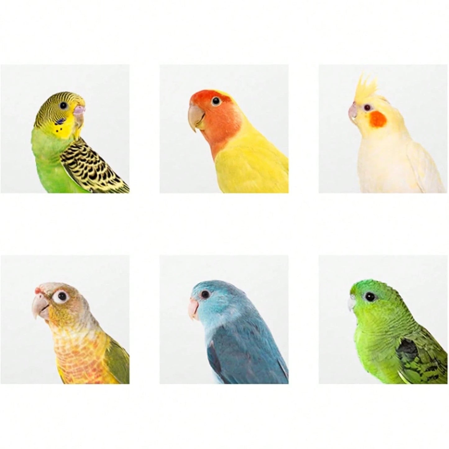 Hiceeden 2 Pack Parakeet Nest Box, Natural Wood Bird Nesting Box, Small Bird House Breeding Box For Budgie Lovebirds, Cockatiel, Parrots Mating, Aviary, 7.7*4.7*4.7 Inches