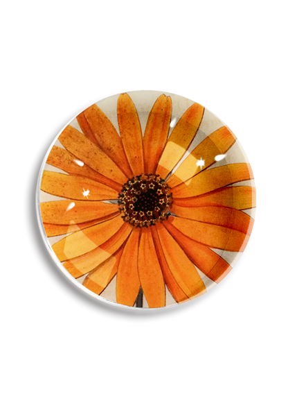 Little Sunshine Daisy Crystal Paperweight