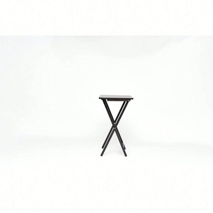 Modern Solid Wood Folding Tray Tables, Set Of 2, Black