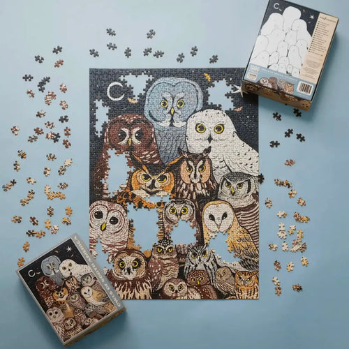 Owls of North America Puzzle