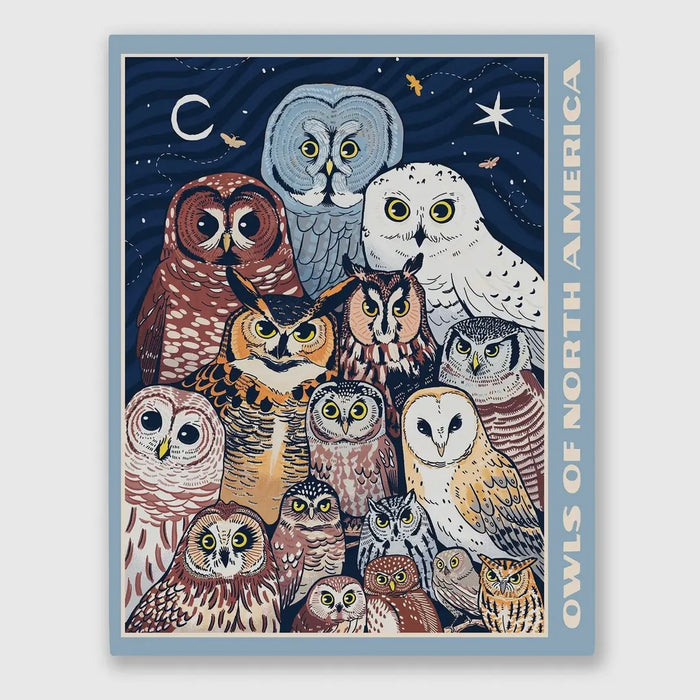 Owls of North America Puzzle