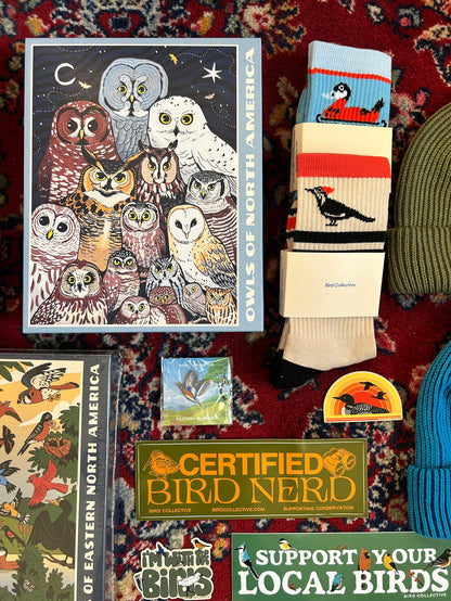 Owls of North America Puzzle