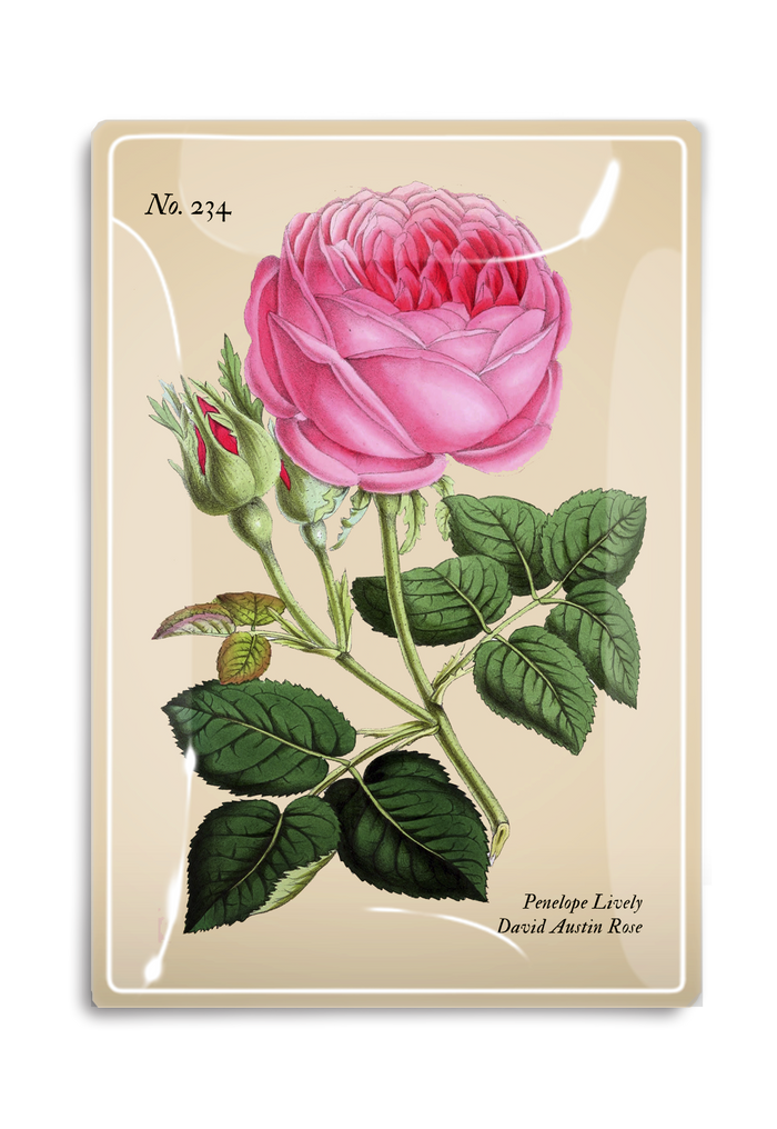 Penelope Pink Rose Decoupage Glass Tray - Ben's Garden