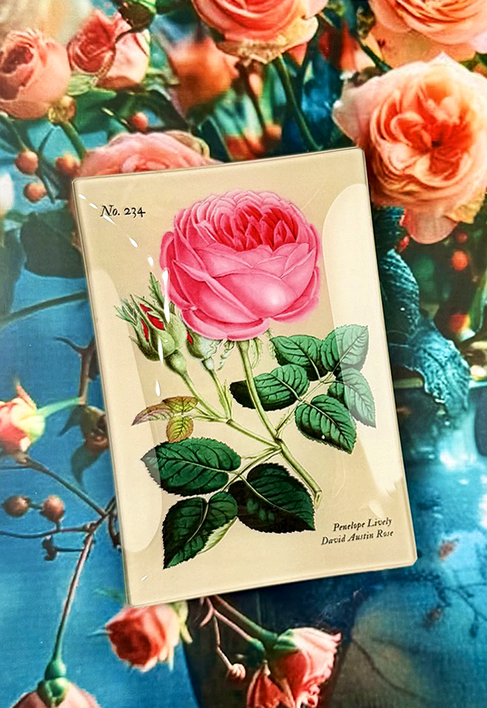 Penelope Pink Rose Decoupage Glass Tray - Ben's Garden