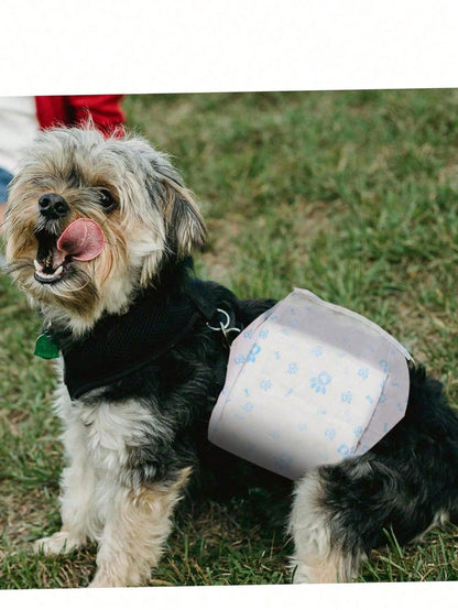 Pet Dog Diapers, Puppy Diapers, Suitable For Toy Poodle, For Pet Menstrual Period, Protect Pet Health, Best Birthday Gift For Happy Puppy, Pet Supplies, Pet Diapers