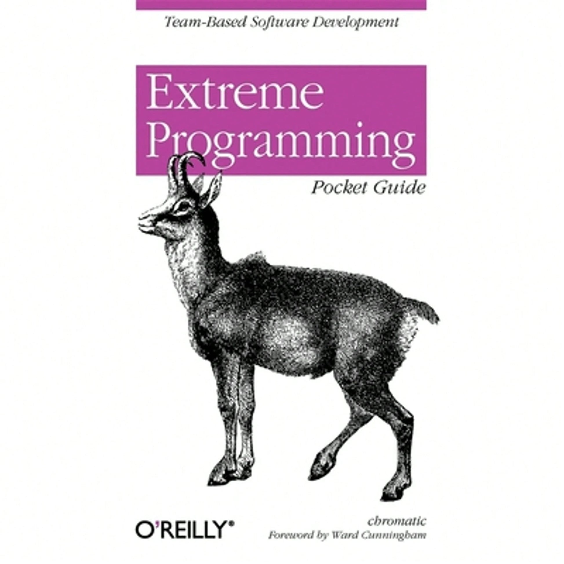 Pre-Owned Extreme Programming Pocket Guide (Paperback) By Shane Warden