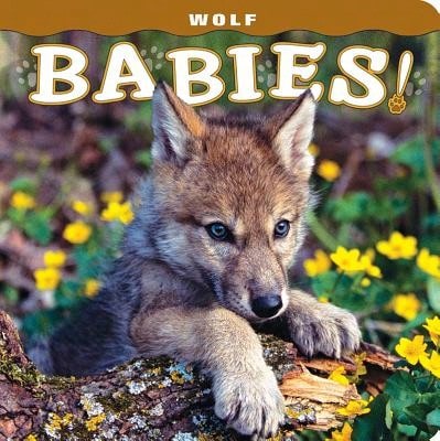 Pre-Owned Wolf Babies! (Hardcover) By Lisa Husar, Mike Husar