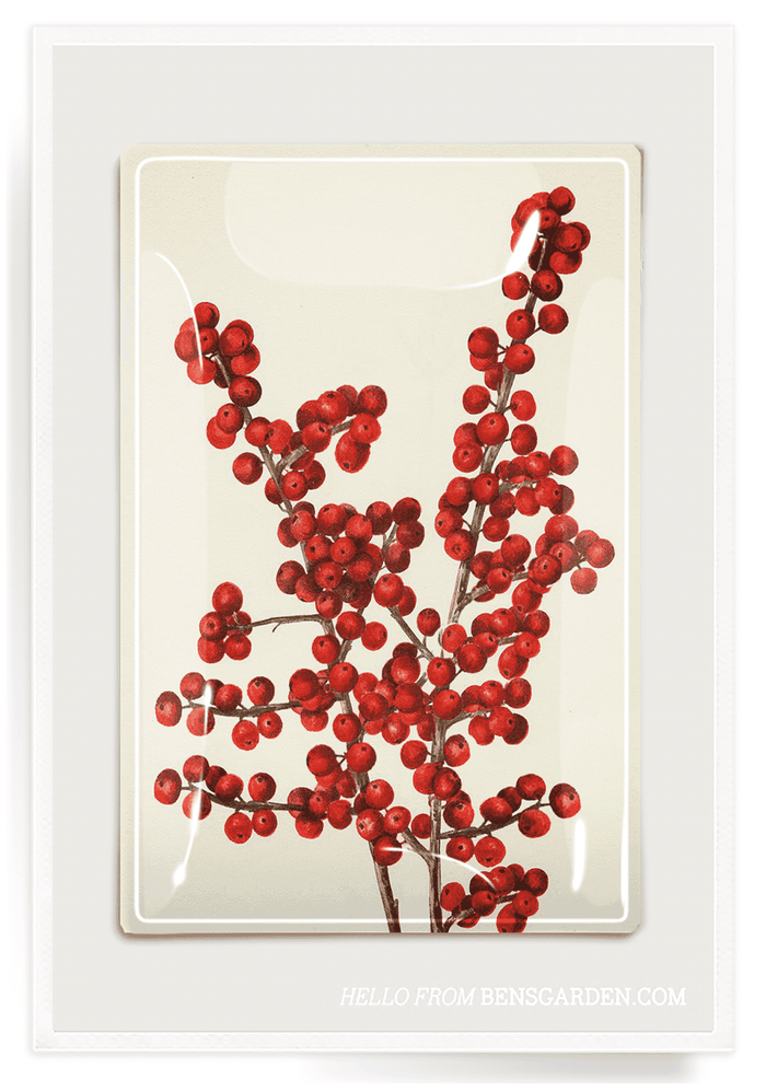 Red Holiday Berry Decoupage Glass Tray - Ben's Garden