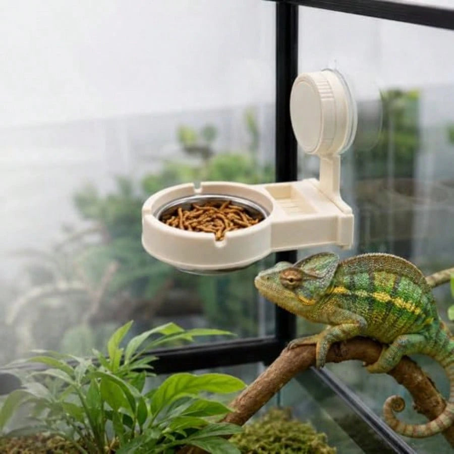 Reptile Feeding Ledge With Suction Cup Removable Stainless Steel Bowl Feeder Aquarium Terrarium Food Water Dish Accessory For Gecko Chameleon Bearded Dragon Lizard