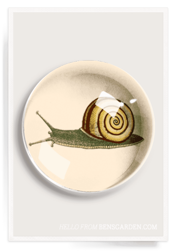 Sweet Snail French Crystal Dome Paperweight - Ben's Garden