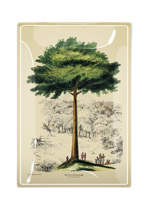 The Tree of Knowledge Decoupage Glass Tray - Ben's Garden