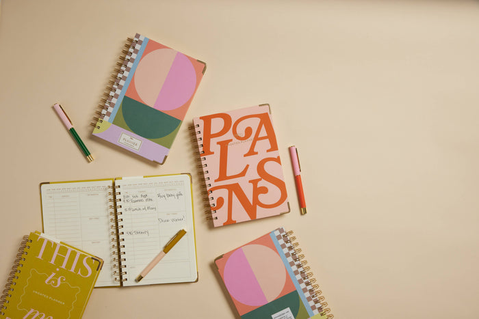 UNDATED 13 MONTH PERPETUAL PLANNER - GEO CHECKS