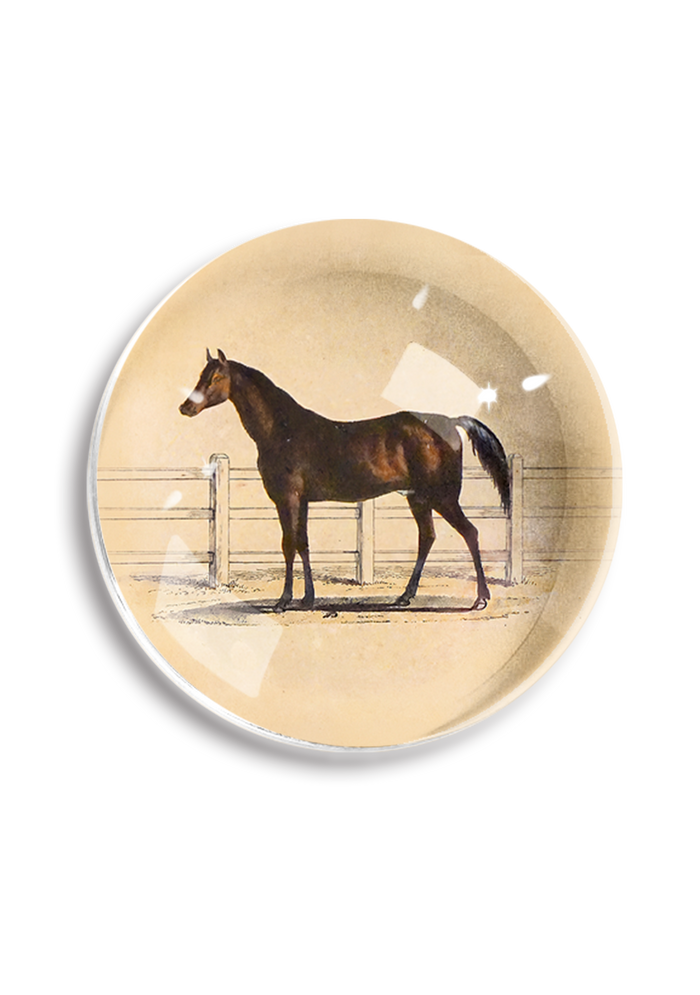 Vintage Noble Horse French Crystal Dome Paperweight